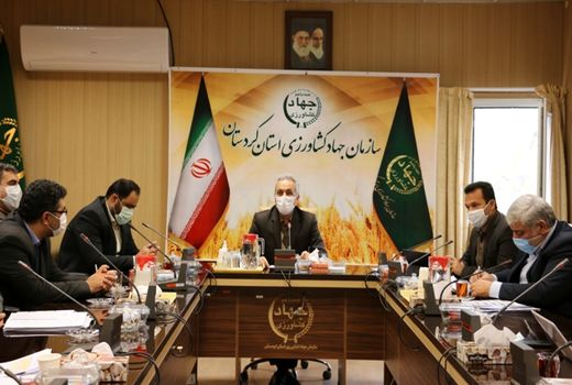 طرح جهش تولید با تاکید بر پایداری تولید در دیمزارهای استان اجرایی میشود