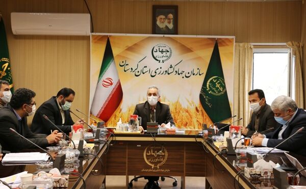 طرح جهش تولید با تاکید بر پایداری تولید در دیمزارهای استان اجرایی میشود