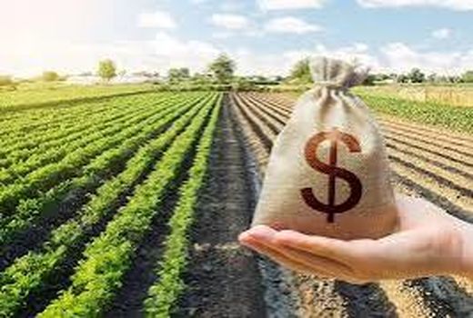 کاهش قیمت تمام‌شده تولید بدون مشارکت نهادهای محلی ممکن نیست
