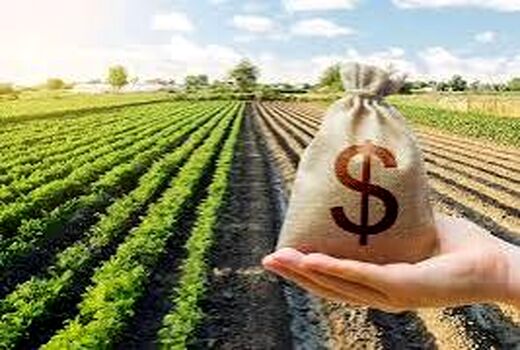 کاهش قیمت تمام‌شده تولید بدون مشارکت نهادهای محلی ممکن نیست

