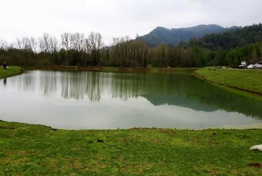 افزایش 216 هزار تنی تولید برنج با بازسازی آب بندان های استان های شمالی