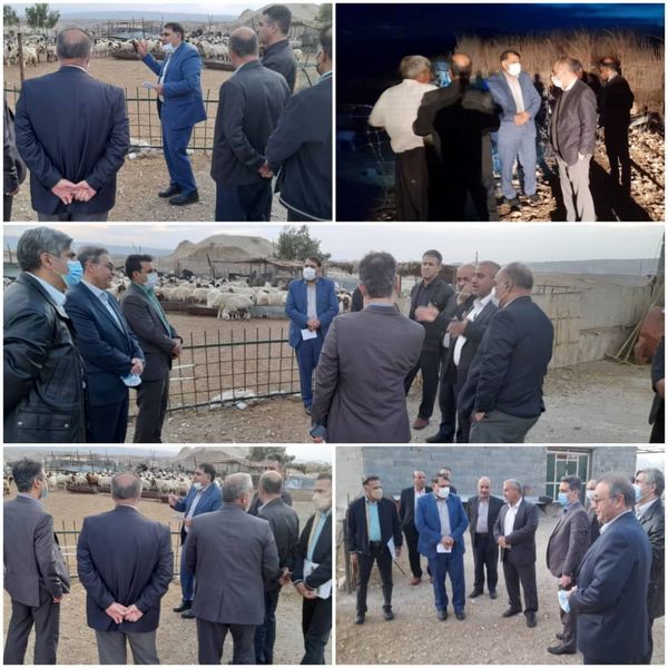 سفر مدیرکل برنامه و بودجه سازمان امور عشایر کشور به استان ایلام