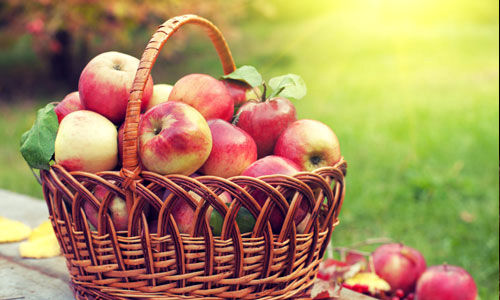  نقشه راه عملیاتی تولید سیب درختی تدوین شود