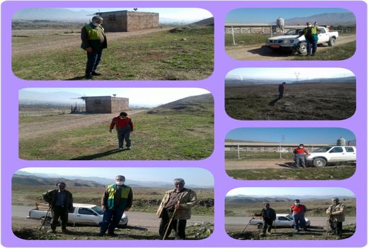 جهاد کشاورزی استان قزوین در ایام نوروز تعطیل نیست