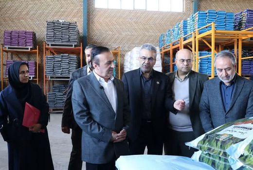 استاندار قزوین از واحد کنجاله‌سازی وزیری بازدید کرد؛ گامی در توسعه صنایع وابسته به کشاورزی