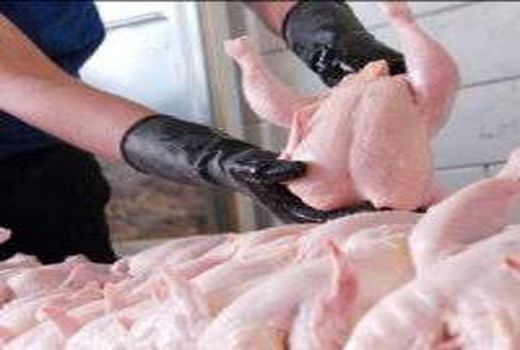 کشتارگاه طیور استان تهران رتبه بندی می شوند