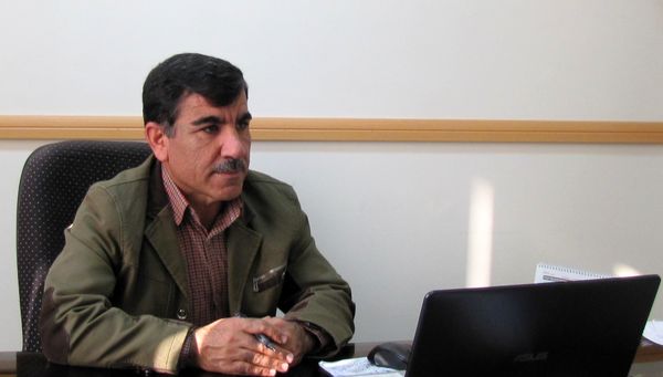 یک هزار و 126 تن کالاهای طرح تنظیم بازار توسط شبکه تعاون روستایی استان قزوین توزیع شد