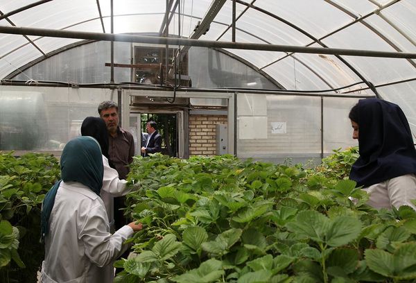 افزایش 3 برابری هنرستان‌های کشاورزی به 40 هنرستان در سال 1400