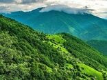 طرح مدیریت پایدار جنگل، تفکر اکوسیستمی است