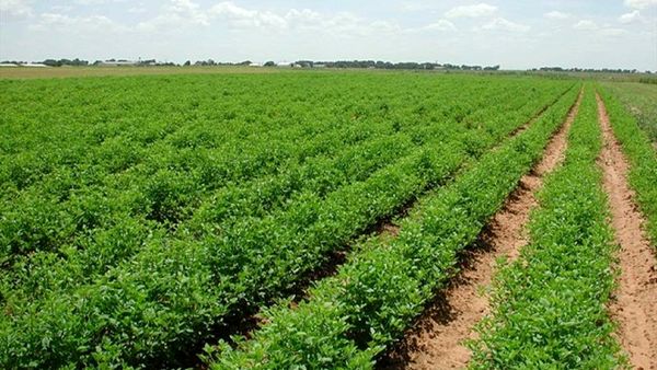 تدوین 19 برنامه برای مدیریت مصرف آب سمنان