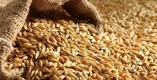 پشتیبانی از دامداران بویراحمد با توزیع ۶۰۰ تن نهاده دامی