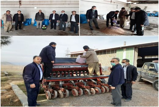 بازدید کارشناسان زراعت جهاد کشاورزی از عملیات کاربرد بذرمال و ضد عفونی بذور نخود و علوفه دیم