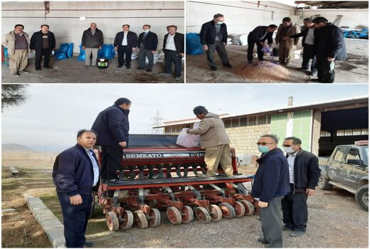 بازدید کارشناسان زراعت جهاد کشاورزی از عملیات کاربرد بذرمال و ضد عفونی بذور نخود و علوفه دیم