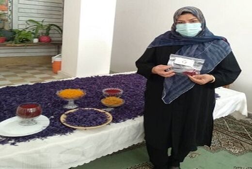 کارآفرینی بانوی دارابی با کشت زعفران