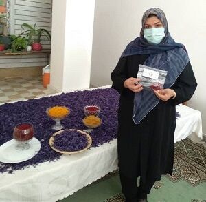 کارآفرینی بانوی دارابی با کشت زعفران
