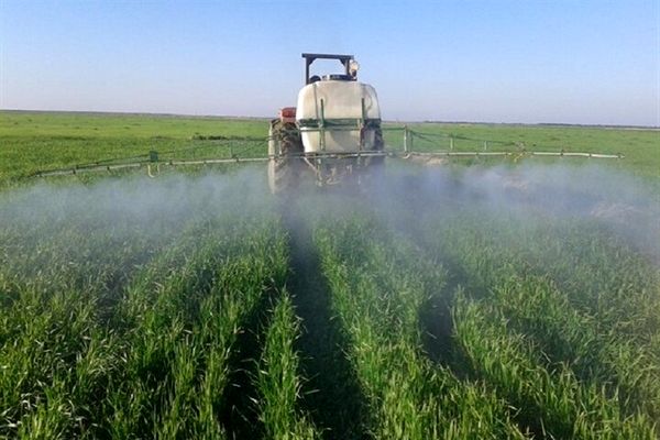 مبارزه با عوامل خسارت‌زای گندم و جو در مزارع شهرستان قدس