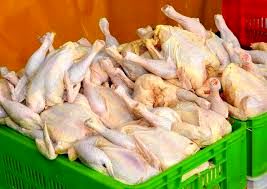 قیمت گوشت مرغ کاهش می‌یابد