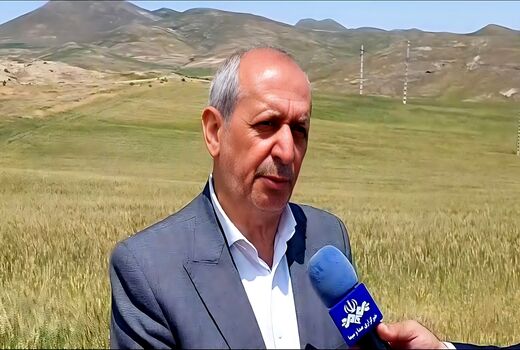 پیگیری جبران خسارت ناشی از سرمازدگی و تگرک در بخش کشاورزی اهر 