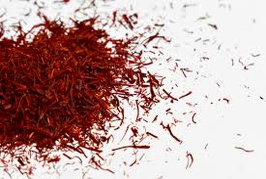 پیش‌بینی برداشت ۲۰ تُن سرگل زعفران در خراسان شمالی 