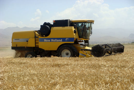 140 هزار تن جو از مزارع کشاورزی استان قزوین برداشت شد