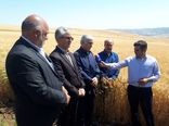 همه باید تلاش کنند تا بخش خصوصی، مدیریت تولید محصولات در حوزه کشاورزی را به دست گرفته و رونق و جهش تولید را رقم بزند.