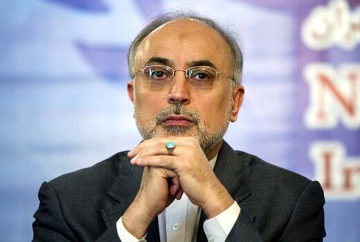 در ساخت راکتور توان متوسط با ایران همکاری می‌کنیم