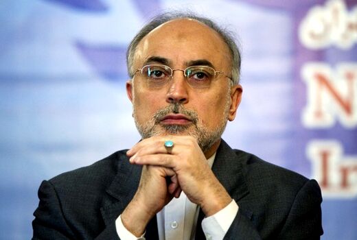در ساخت راکتور توان متوسط با ایران همکاری می‌کنیم