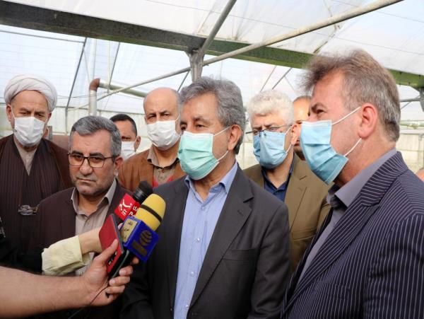 کشت برنج در استانهای شمالی قراردادی می شود