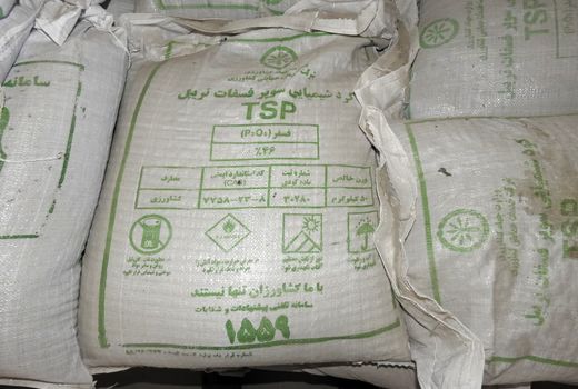 تأمین و توزیع 871 تن کود TSP در استان البرز