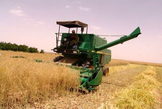 کمباین‌های معیوب در فاروج اجازه فعالیت ندارند