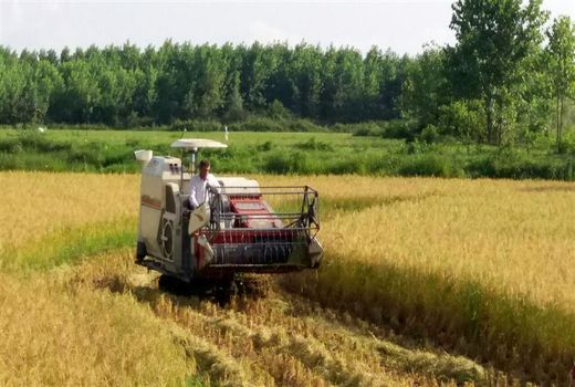 جذب بیش از ۳۷ میلیاردی تسهیلات بانکی توسعه مکانیزاسیون کشاورزی در شفت