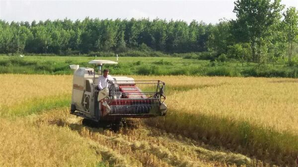 جذب بیش از ۳۷ میلیاردی تسهیلات بانکی توسعه مکانیزاسیون کشاورزی در شفت
