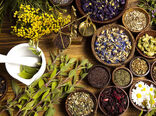 درآمدزایی از گیاهان دارویی مرتعی در قالب طرحی اقتصادی
