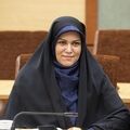 جشنوار ملی انگور بستری برای توسعه گردشگری کشاورزی در ملکان و لیلان است