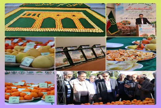 برگزاری جشنواره مرکبات سالم شهرستان دزفول