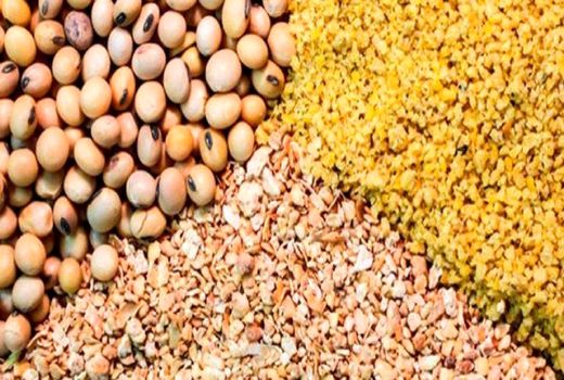 اقدامات راهبردی در حوزه کنترل کیفی محصولات پرتئینی و نهاده‌های دامی