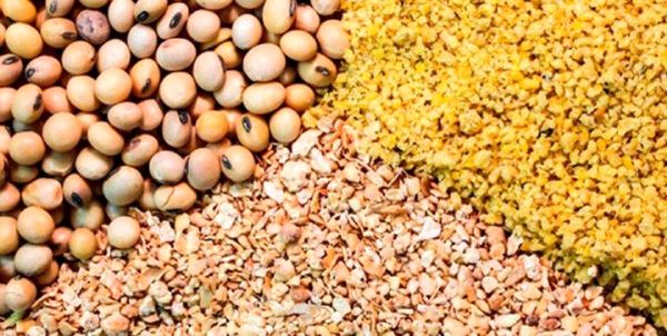 اقدامات راهبردی در حوزه کنترل کیفی محصولات پرتئینی و نهادههای دامی