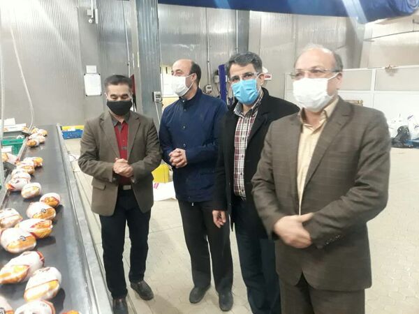 ماهانه 1500 تن گوشت مرغ مازاد بر مصرف در استان از تولید 4500 تن تولید گوشت مرغ