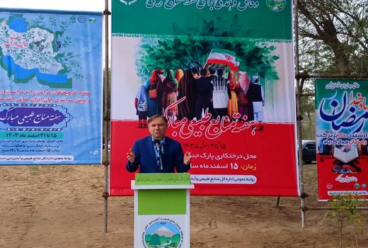 کاشت ۱۲ میلیون درخت در استان بوشهر