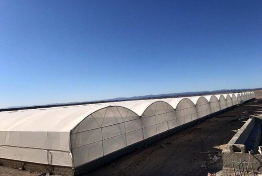 بازدید ترویجی کشاورزان شهربابکی از مجتمع گلخانه پردیس سیرجان