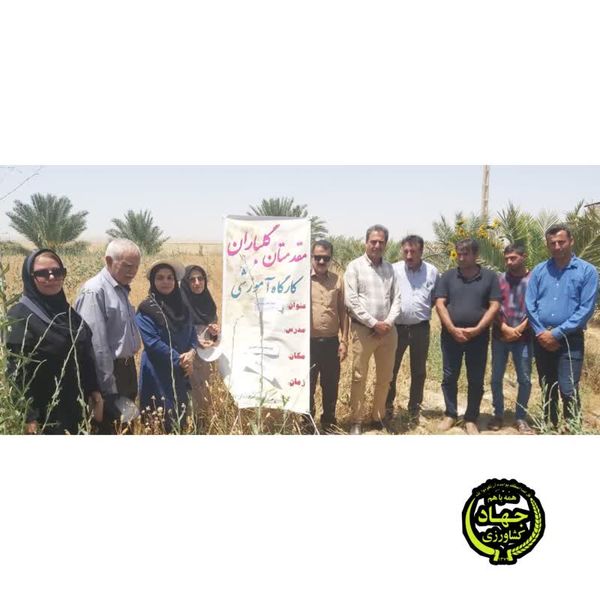 روز مزرعه توسعه کشت دانه روغنی کاملینا در استان بوشهر برگزار شد