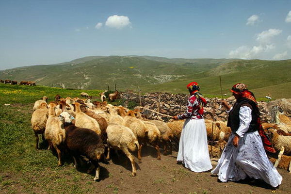 عشایر اشنویه سالانه بیش از ۹ هزار تن فرآورده دامی تولید می‌کنند 