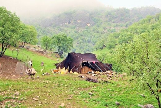 نقش عشایر در حفظ زاگرس انکار ناپذیر است/ غفلت سیاست‌گذاران از مهم‌ترین حافظان طبیعت