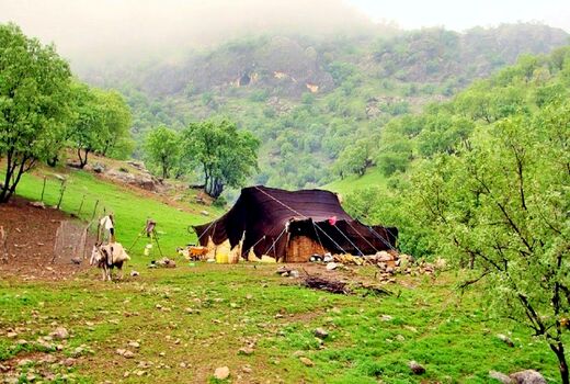 نقش عشایر در حفظ زاگرس انکار ناپذیر است/ غفلت سیاست‌گذاران از مهم‌ترین حافظان طبیعت
