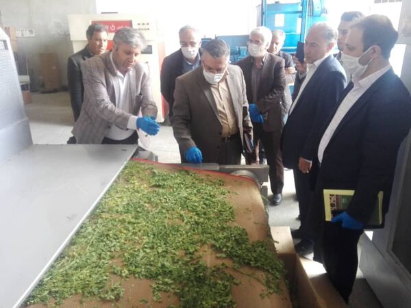 ارتقا بخشی به ارزش افزوده بخش کشاورزی با تاکید بر توسعه صنایع تبدیلی