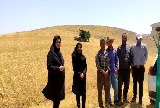 برگزاری کلاس آموزشی ترویجی تنظیم کمباین همزمان با آغاز برداشت گندم در بستان‌آباد