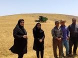 برگزاری کلاس آموزشی ترویجی تنظیم کمباین همزمان با آغاز برداشت گندم در بستان‌آباد