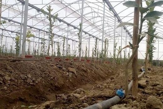 پرداخت 7500 میلیونی تسهیلات اشتغال روستایی به دو طرح در میاندورود