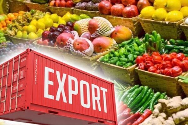 9 هزار و 700 تن محصولات کشاورزی قزوین به اوراسیا صادر شد