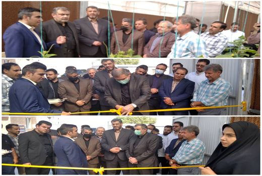 افتتاح یک واحد گلخانه ای با سیستم کنترل اقلیم و بازچرخانی آب در شهرستان پیشوا